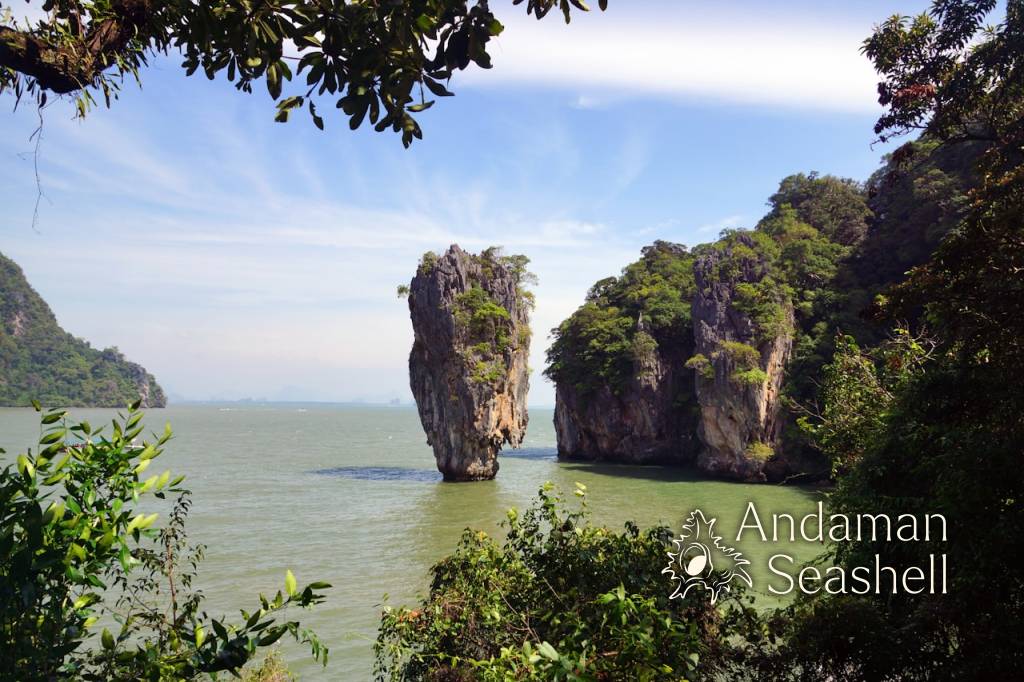 Boats at Rest, Sea at Work: The Andaman Spawning Ban Ends June 30