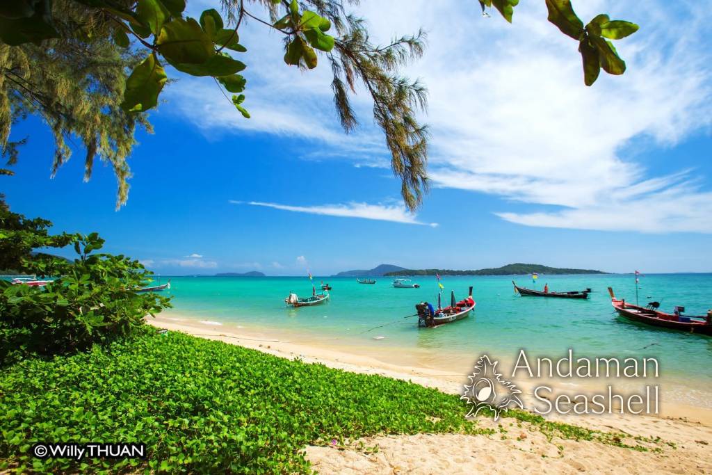 The Catch That Counts: Rawai's Chao Leh at the 2026 Phuket Seafood Festival