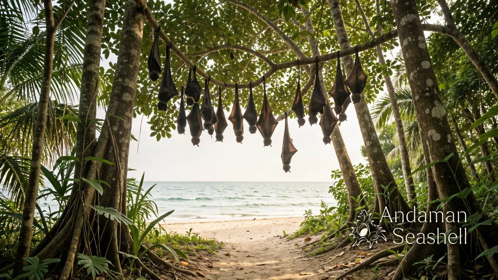 Lyle's flying foxes resting in seaside trees above a sandy trail