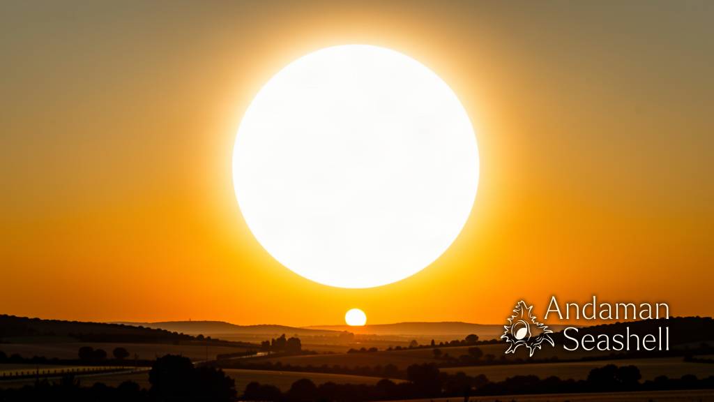 How August’s Total Solar Eclipse Turned the Sky Into a Shared Science Show