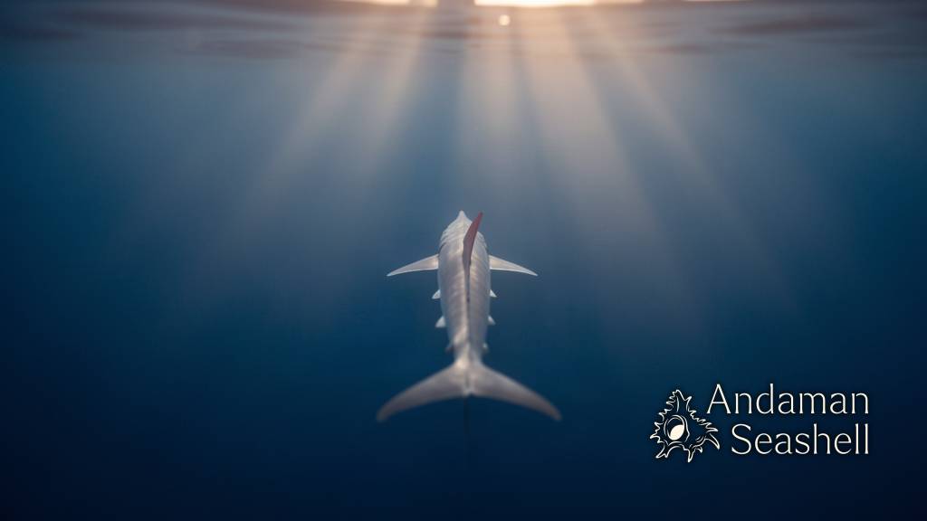 An oarfish gliding away into deep blue water, soft light beams from above