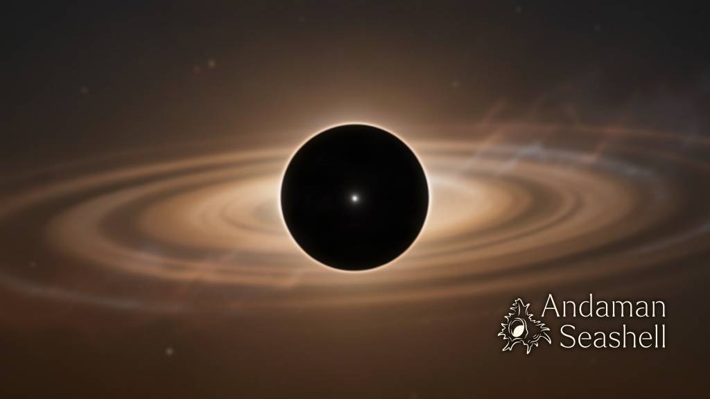 A serene reborn planetary system: a dark gas giant silhouette lit by the gentle glow of a small cooling star