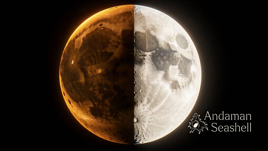 One Moon, Two Faces: Earth's Gravity May Have Shaped Both